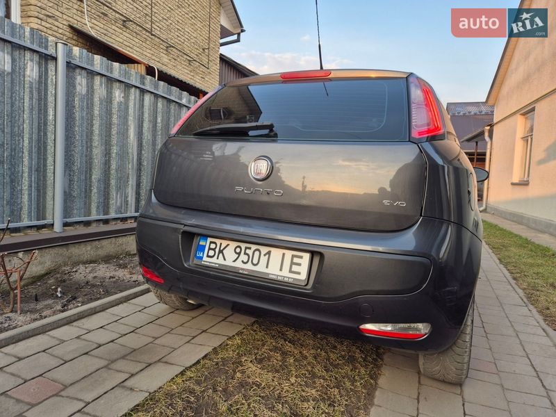 Хетчбек Fiat Punto 2011 в Ковелі