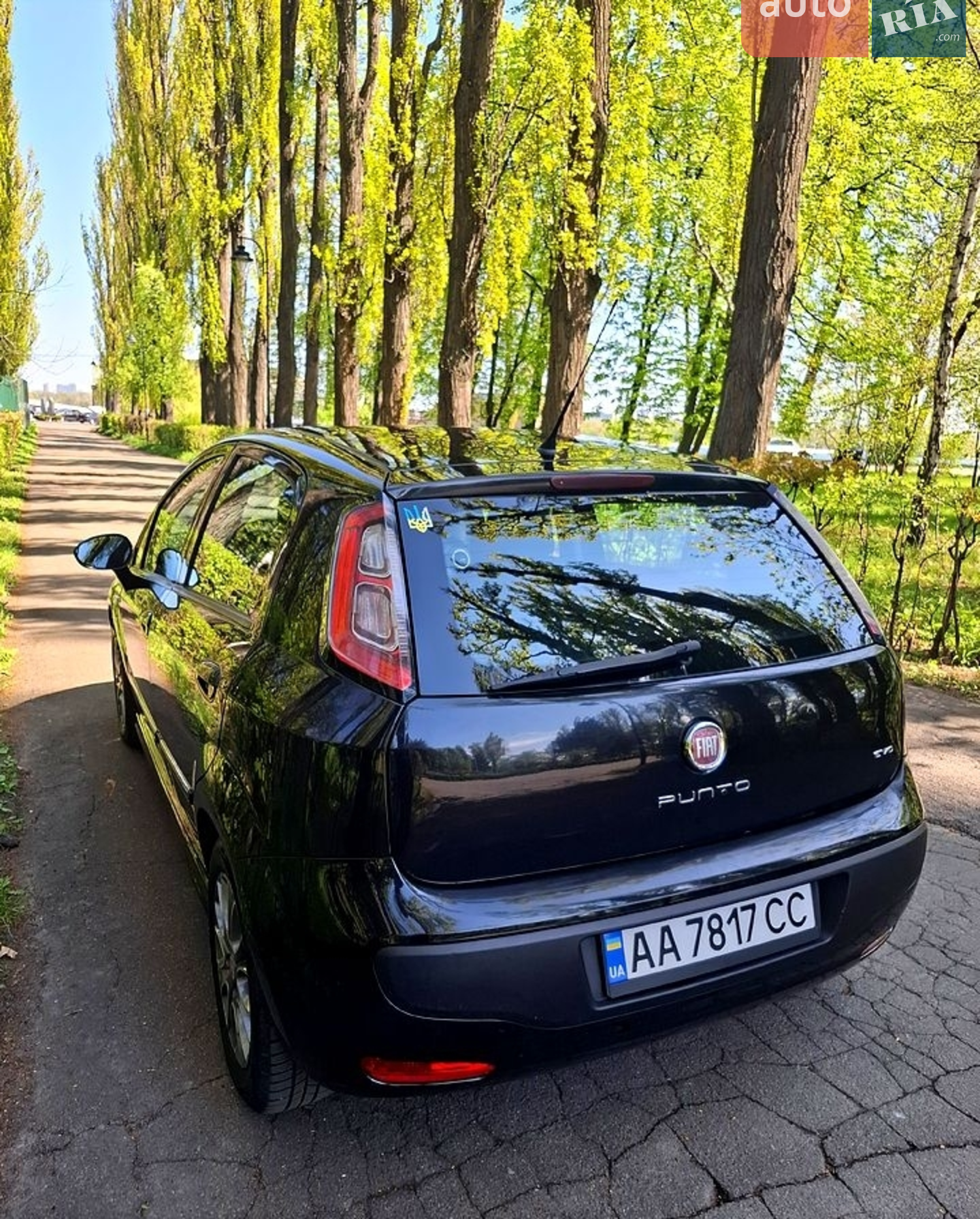 2010 Fiat Punto - мініатюра 4