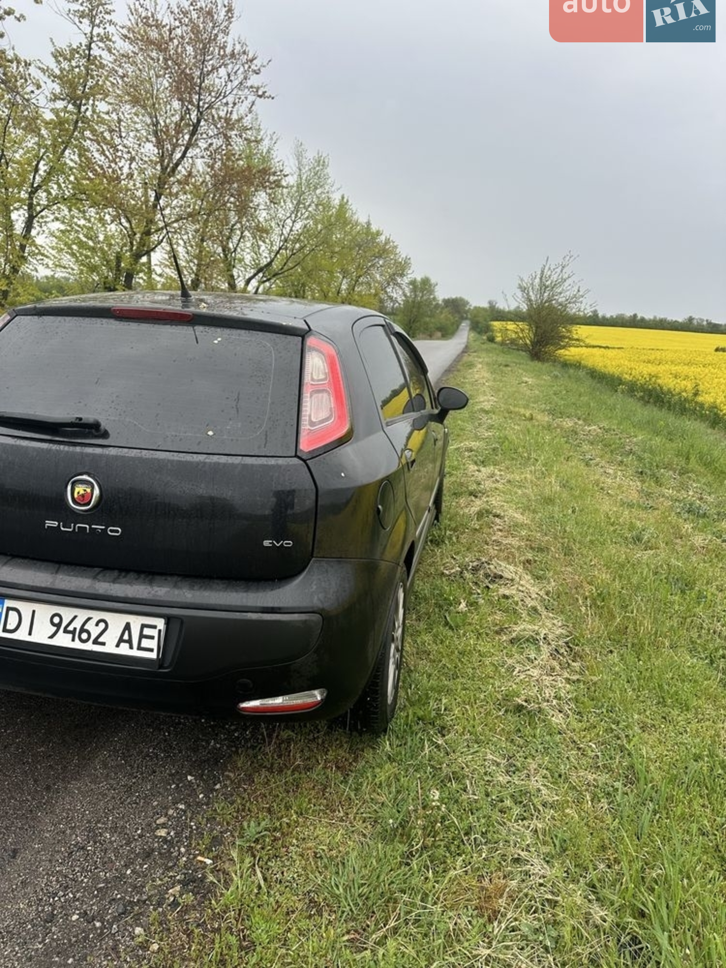 2010 Fiat Punto - мініатюра 5