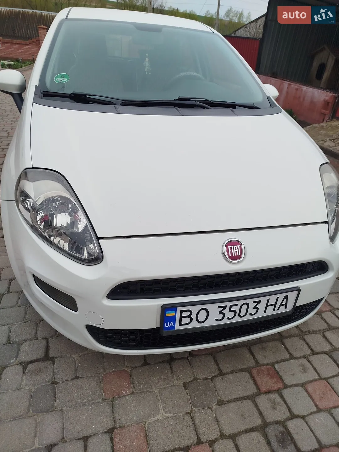 2012 Fiat Punto - мініатюра 3