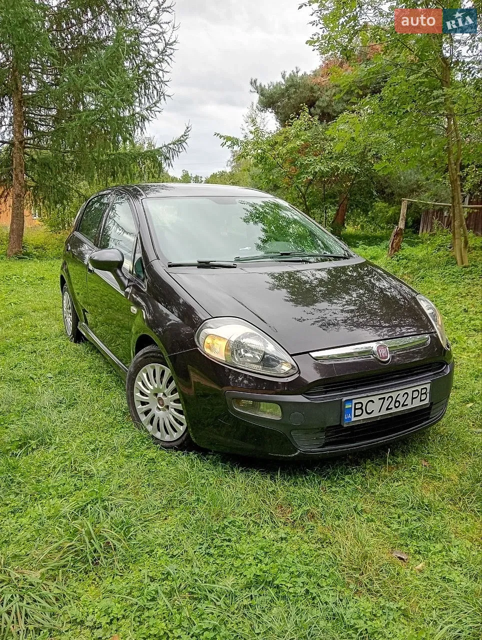 2010 Fiat Punto - мініатюра 5