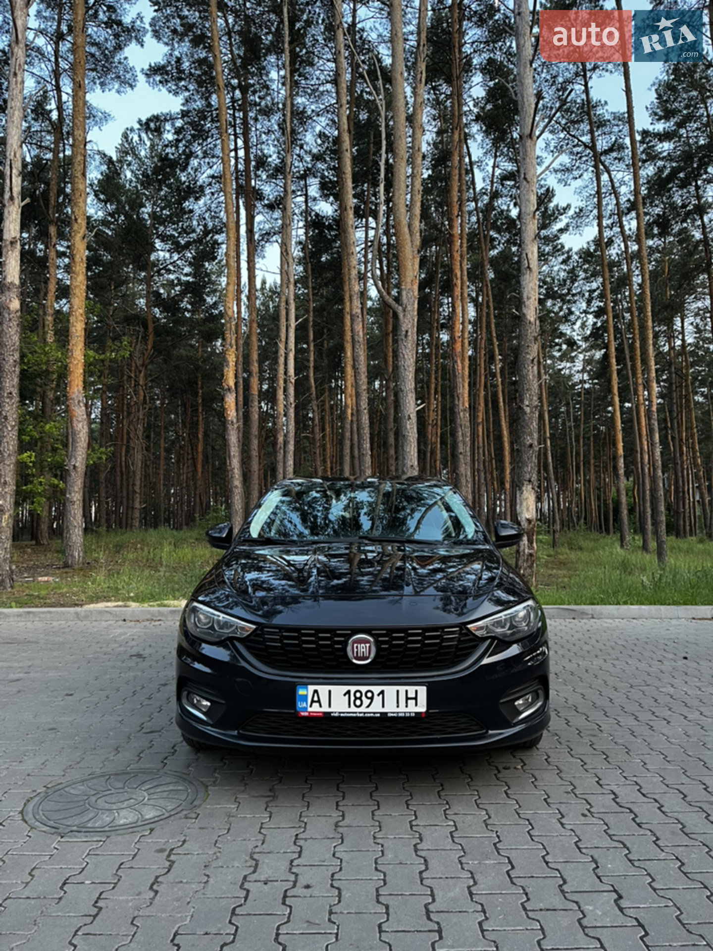 2019 Fiat Tipo - мініатюра 11