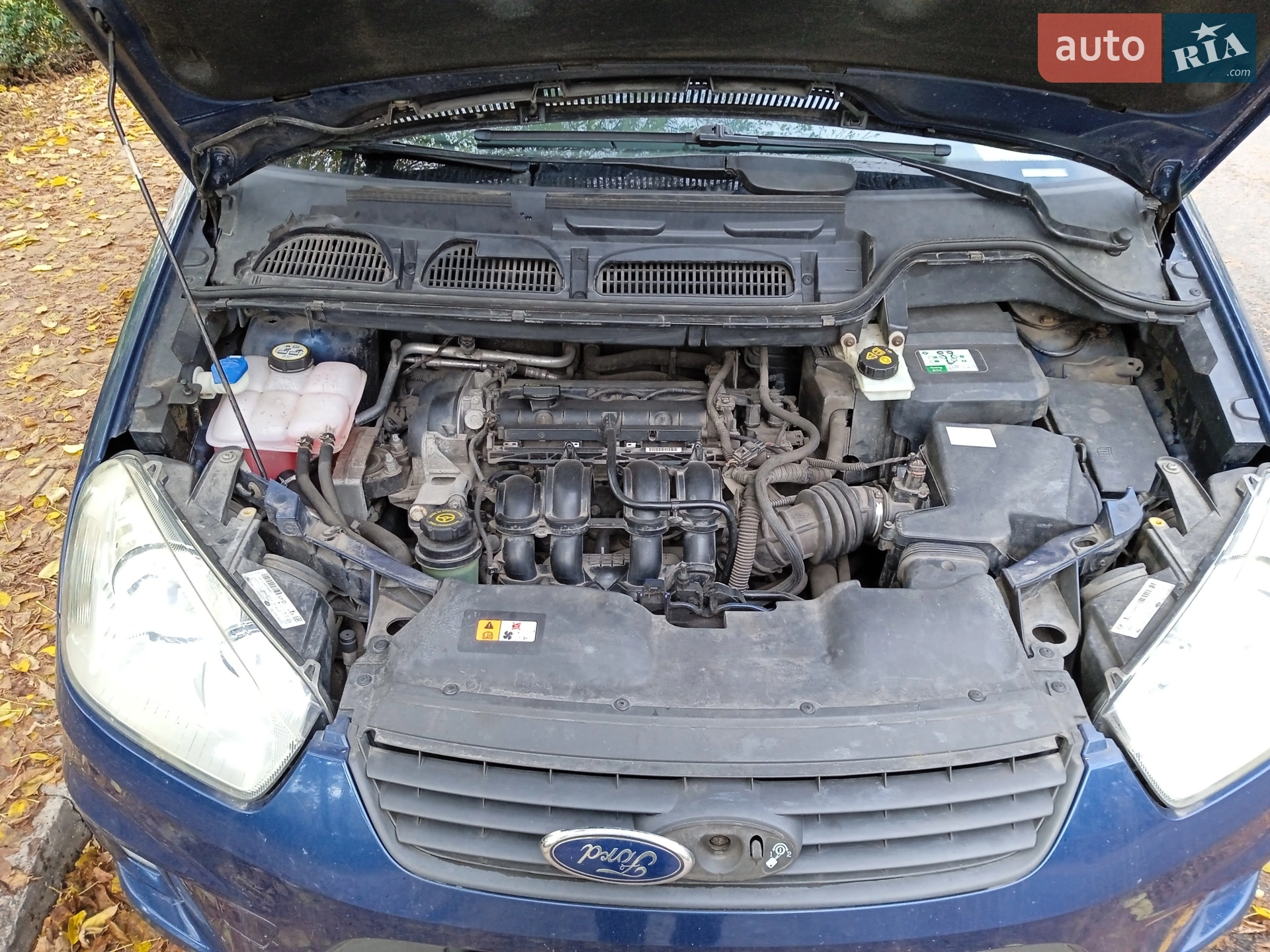 2010 Ford C-MAX - мініатюра 15