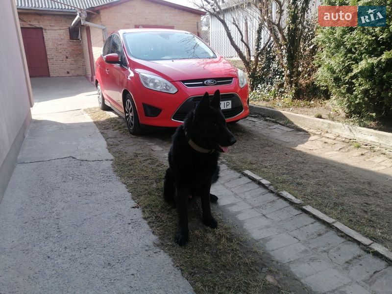 Минивэн Ford C-Max 2013 в Ровно фото 5 Минивэн Ford C-Max 2013 в Ровно