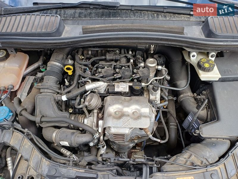 Минивэн Ford C-Max 2016 в Бердичеве