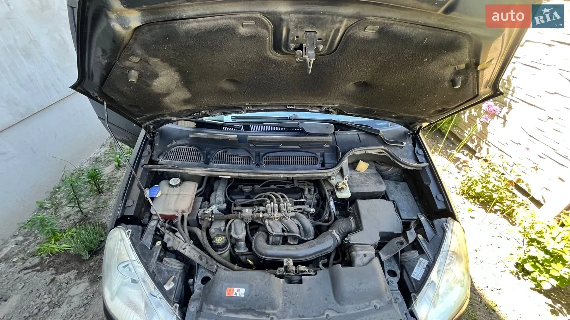 2010 Ford C-MAX - мініатюра 9