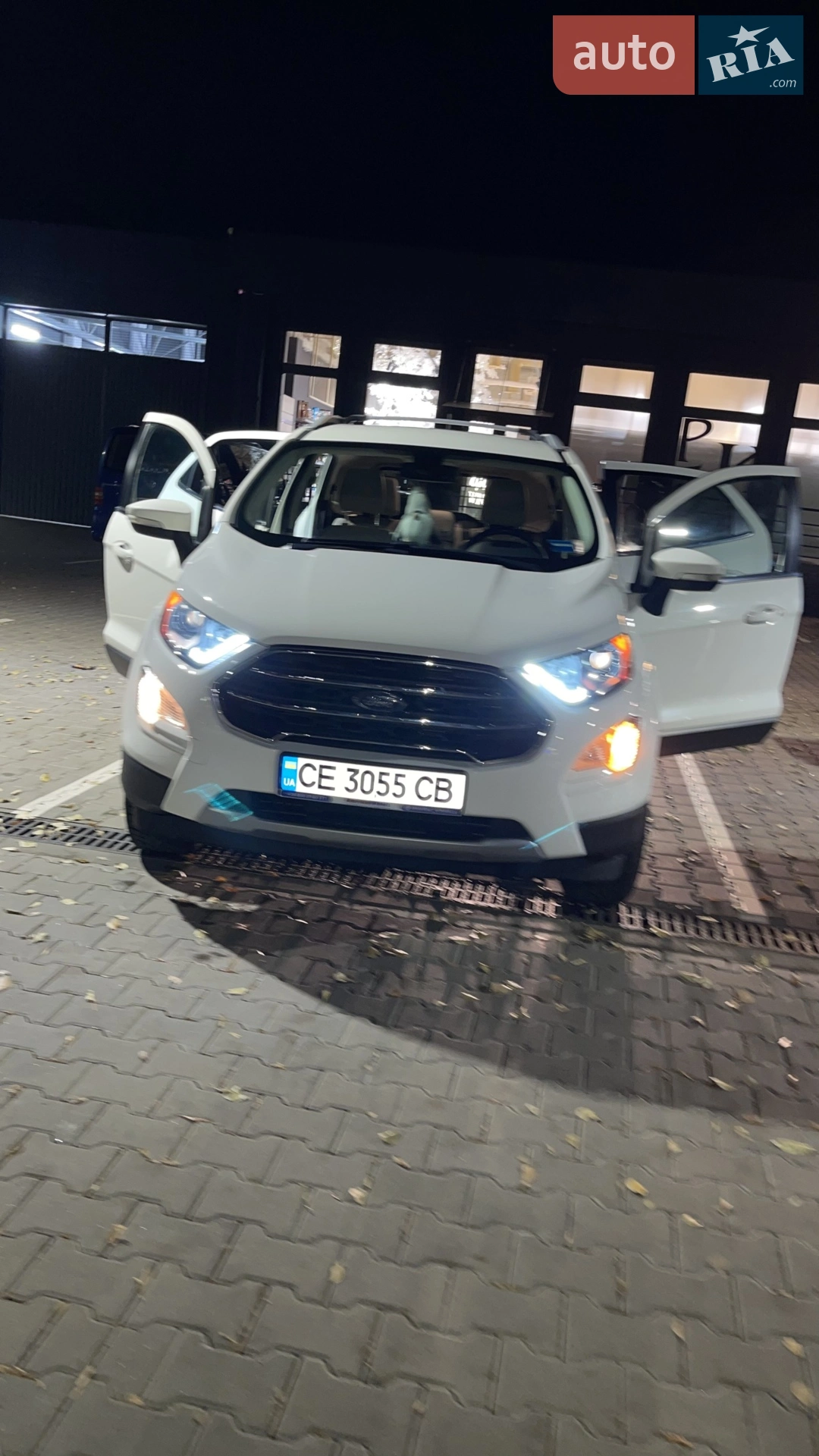 2018 Ford EcoSport - мініатюра 4