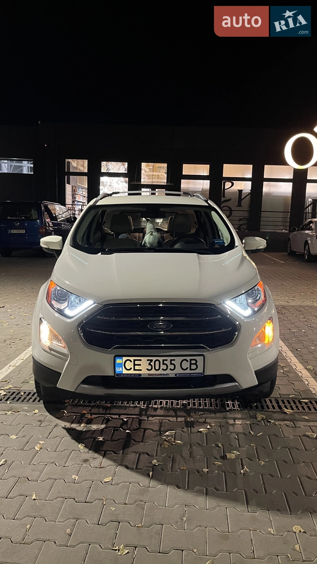 2018 Ford EcoSport - мініатюра 9