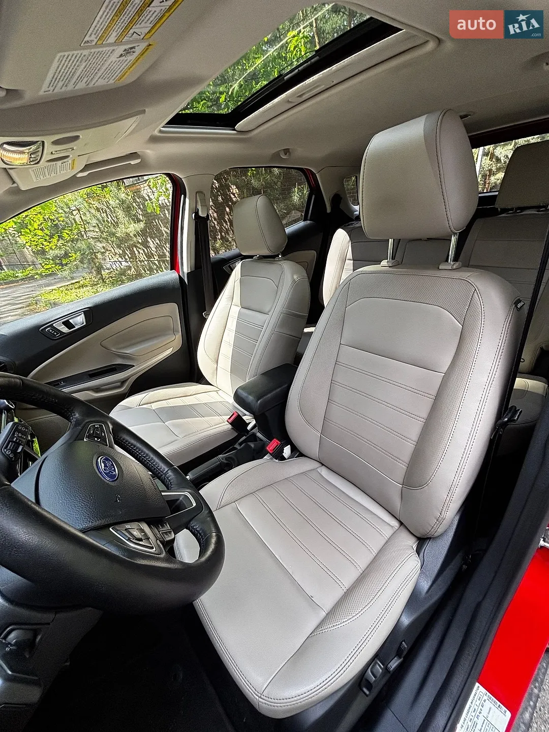 2019 Ford EcoSport - мініатюра 20