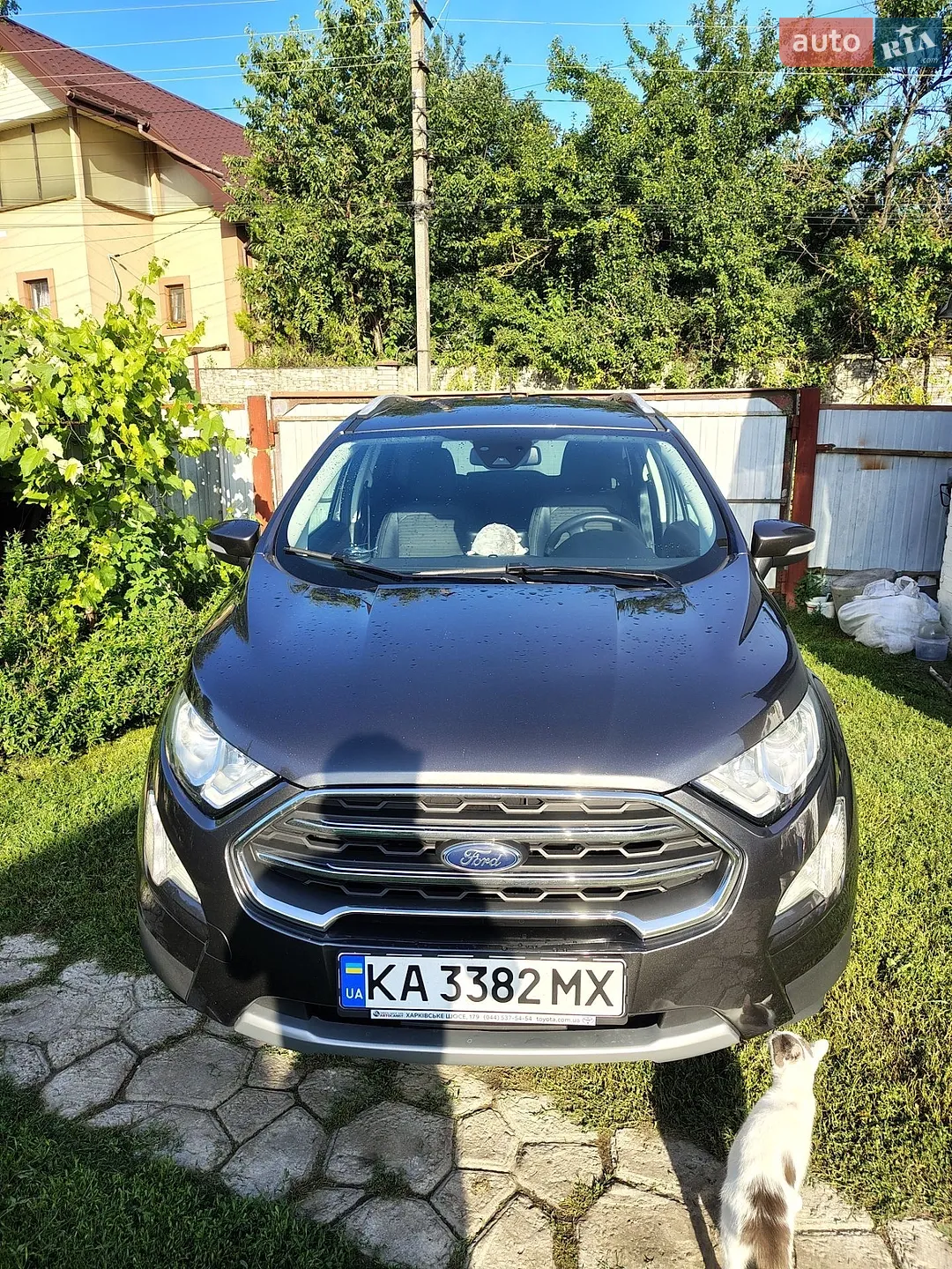 2020 Ford EcoSport - мініатюра 2