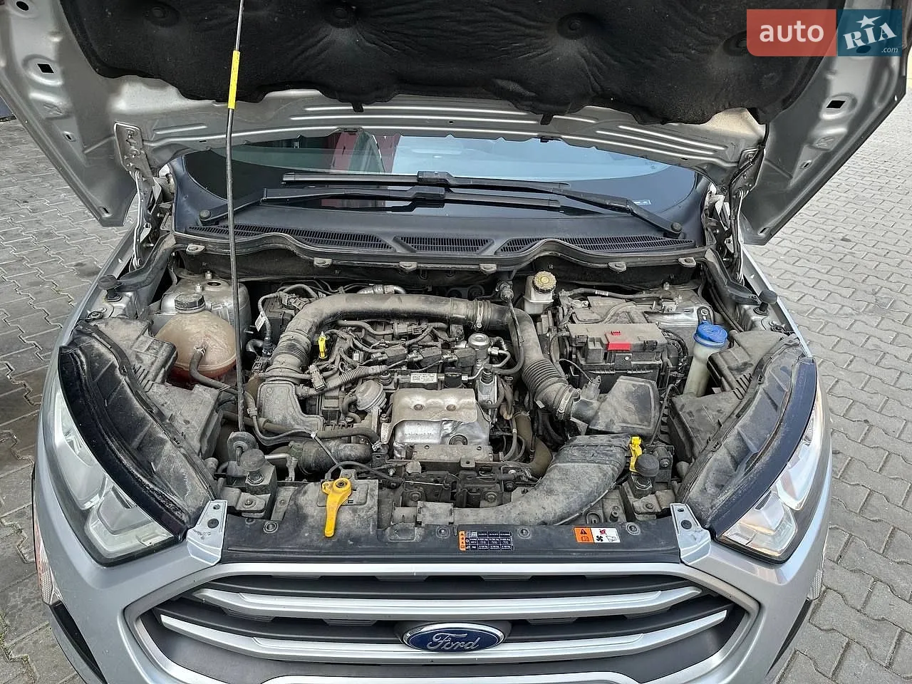 2020 Ford EcoSport - мініатюра 10