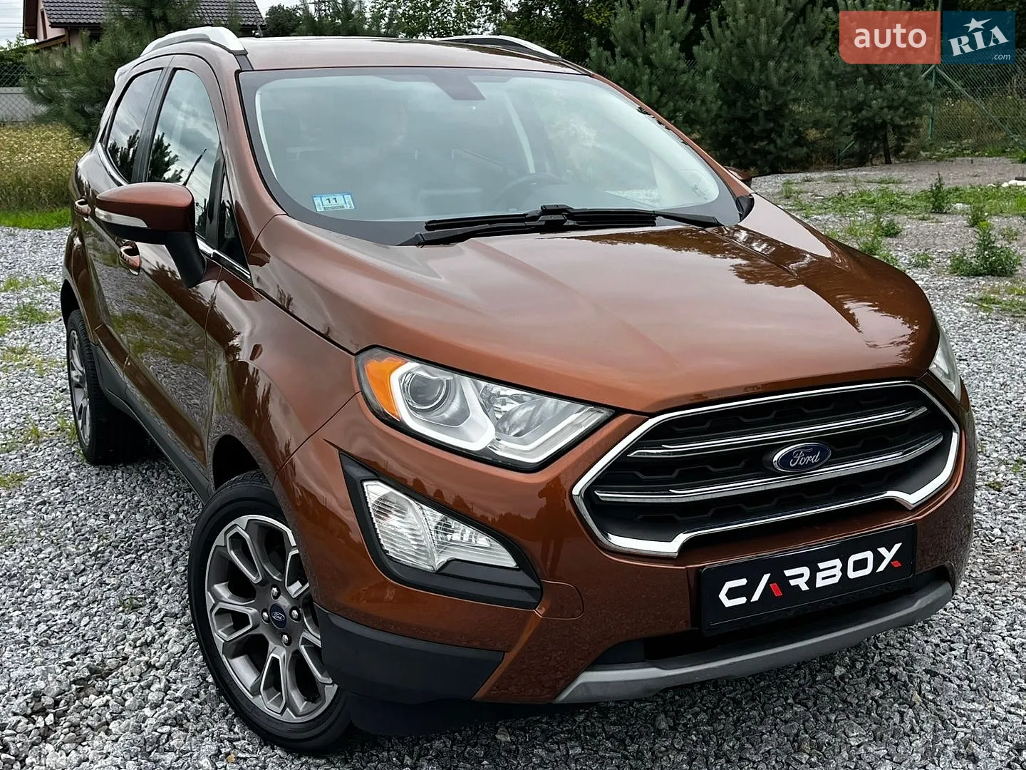 2018 Ford EcoSport - фото 1