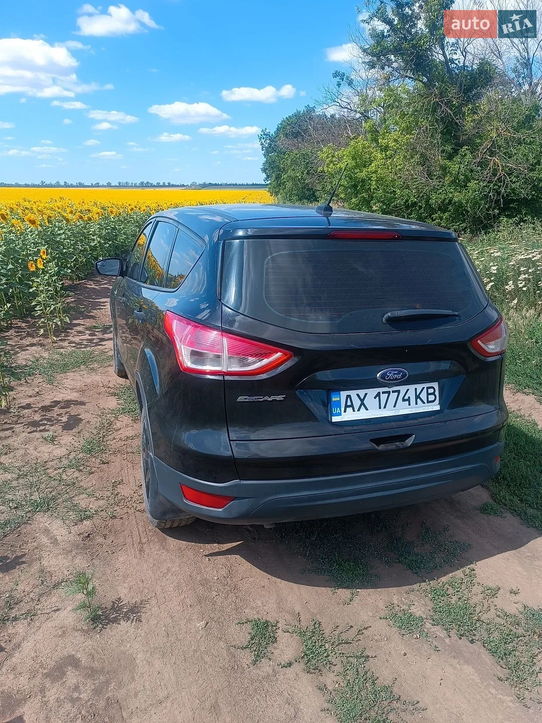 2014 Ford EcoSport - мініатюра 12