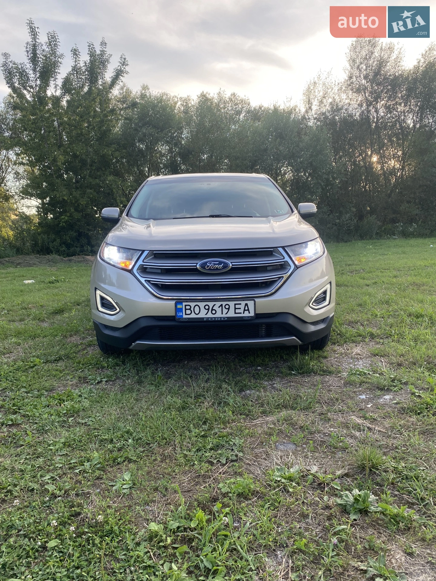 2017 Ford Edge - мініатюра 2