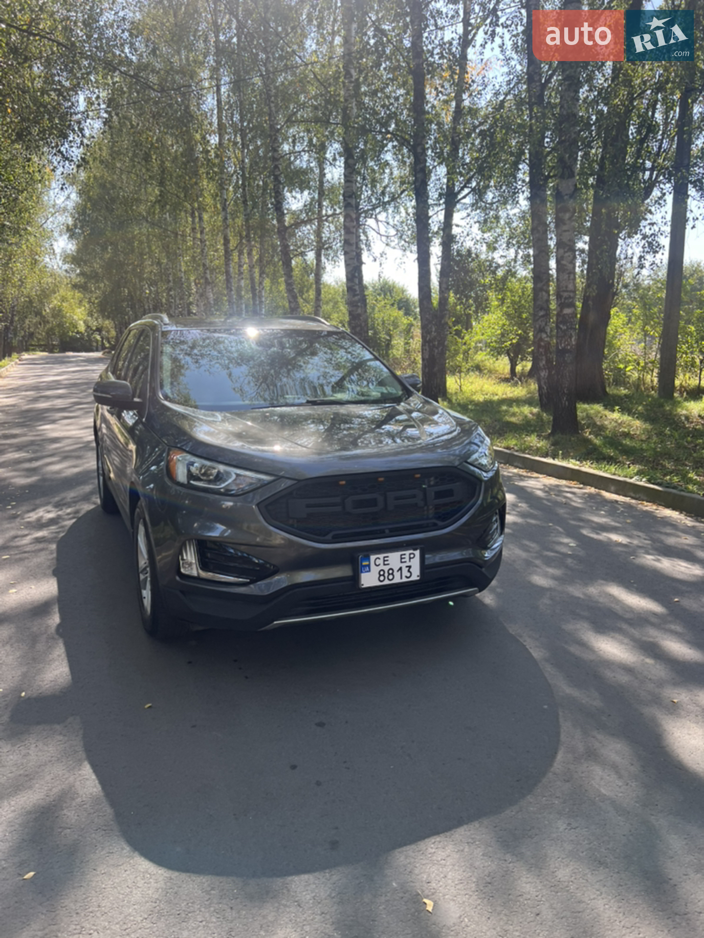 2019 Ford Edge - мініатюра 6
