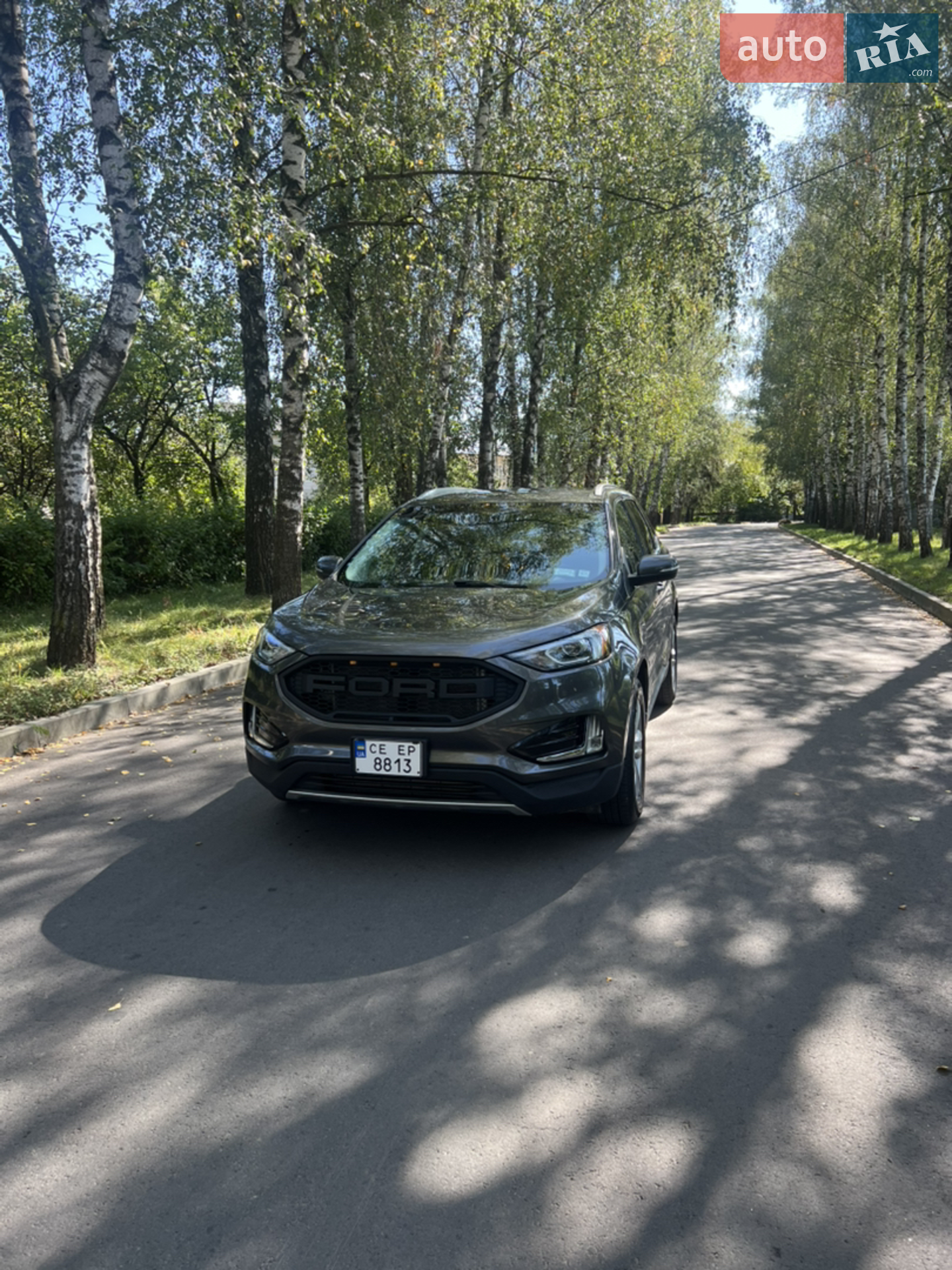 2019 Ford Edge - мініатюра 7