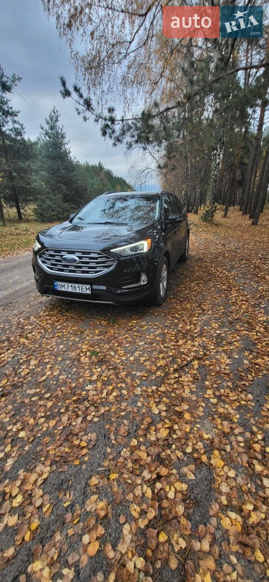 2019 Ford Edge - мініатюра 2