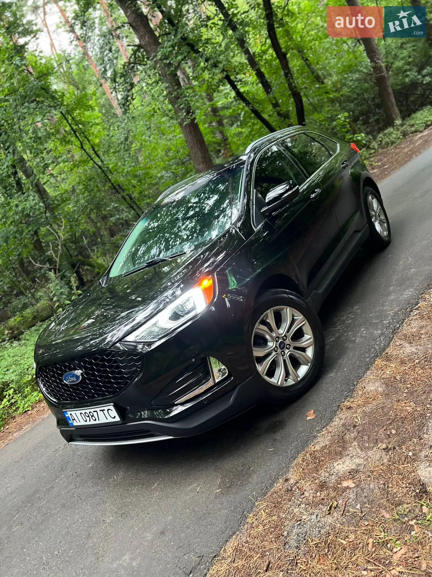 2019 Ford Edge - фото 1