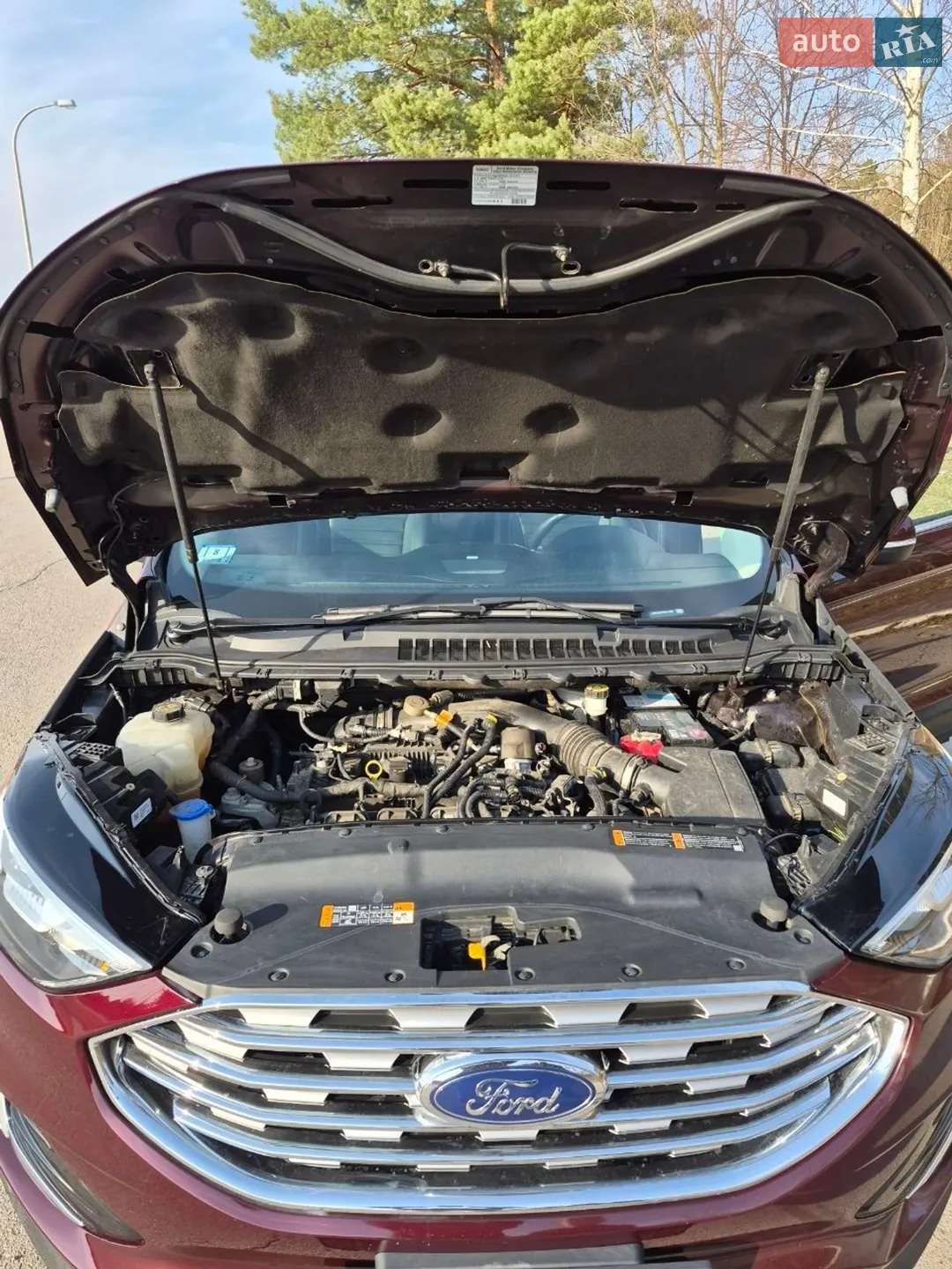 2019 Ford Edge - мініатюра 9