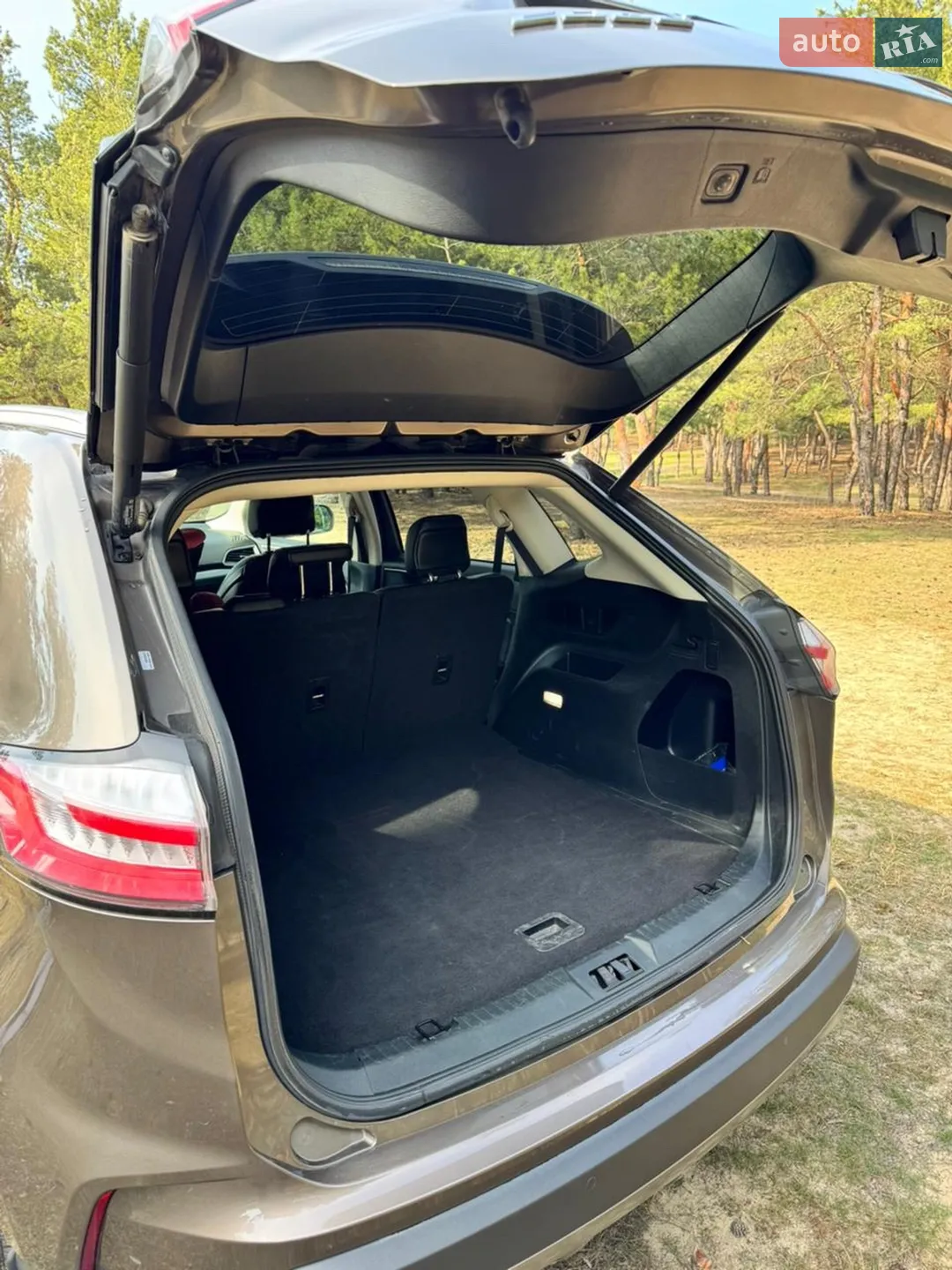 2019 Ford Edge - мініатюра 9