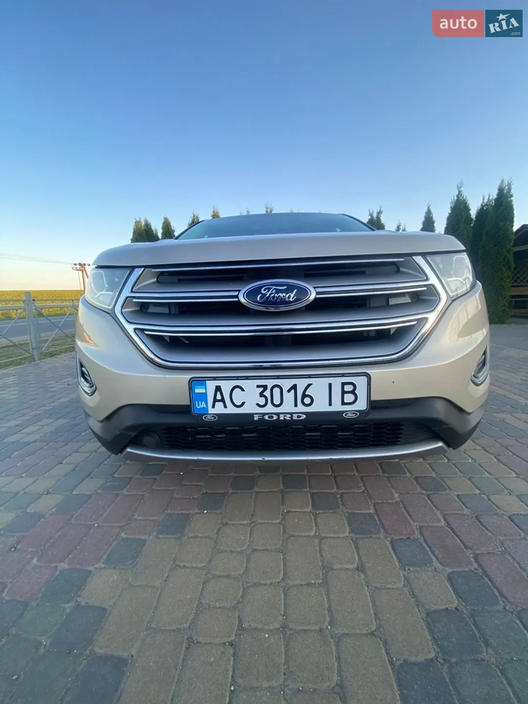 2017 Ford Edge - мініатюра 13