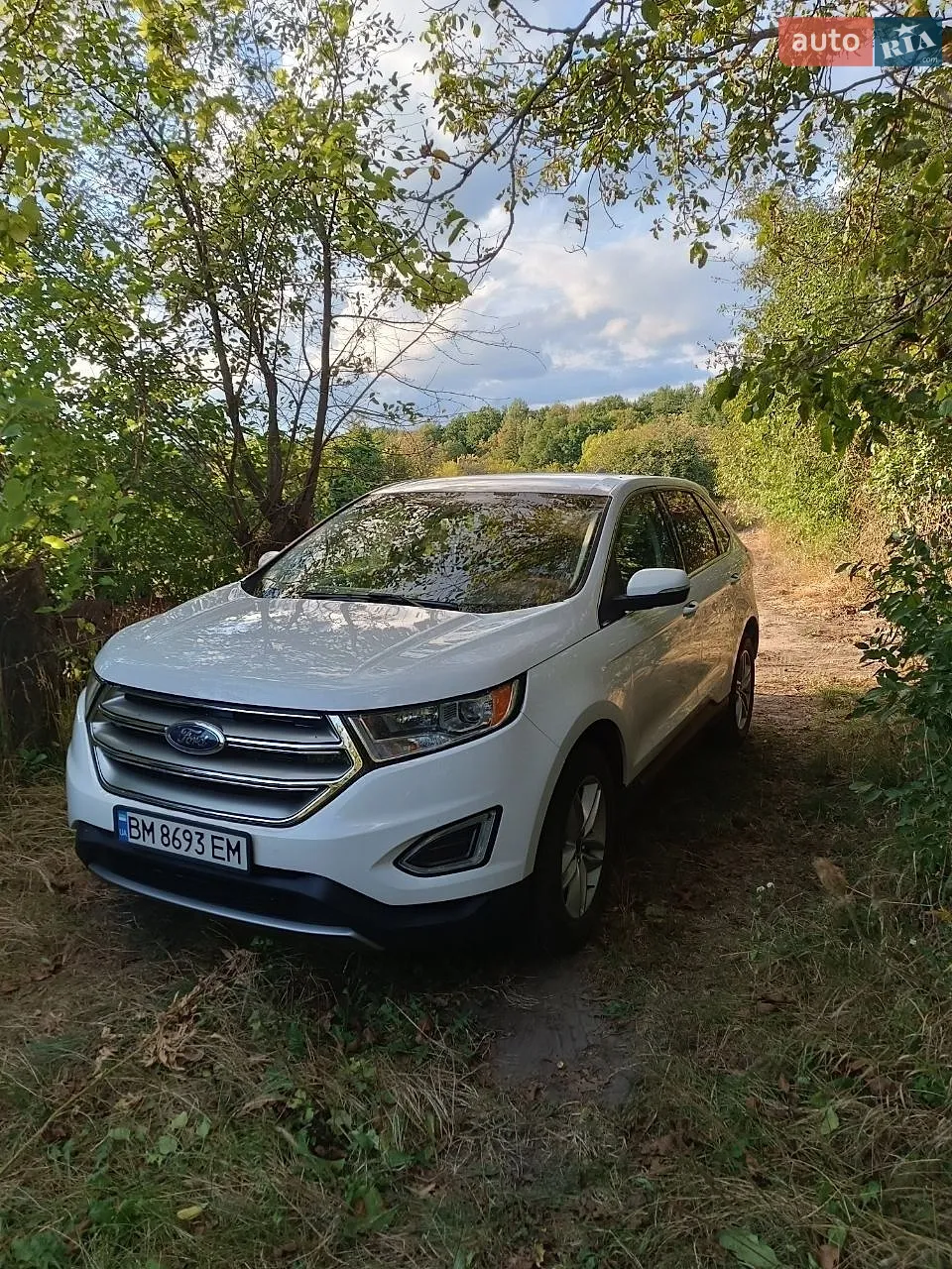 2018 Ford Edge - мініатюра 3