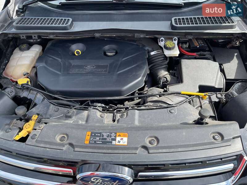 Внедорожник / Кроссовер Ford Escape 2015 в Кропивницком фото 14 Внедорожник / Кроссовер Ford Escape 2015 в Кропивницком