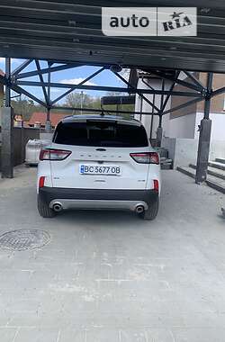 Позашляховик / Кросовер Ford Escape 2020 в Львові