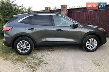 Позашляховик / Кросовер Ford Escape 2020 в Тернополі
