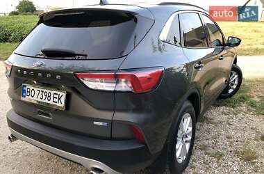 Позашляховик / Кросовер Ford Escape 2020 в Тернополі