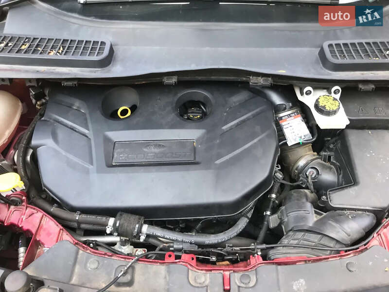 Внедорожник / Кроссовер Ford Escape 2017 в Львове