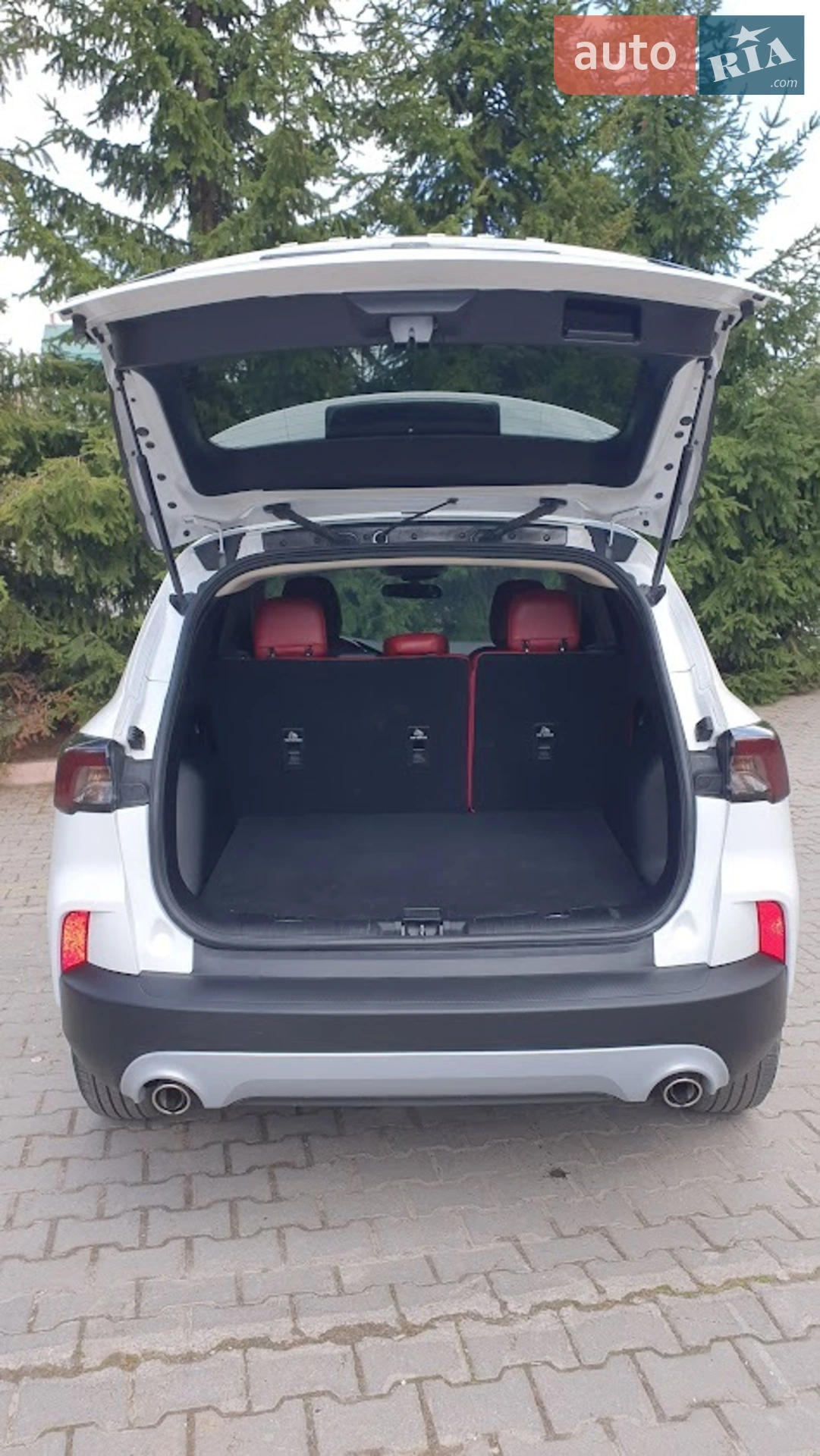 2019 Ford Escape - мініатюра 2