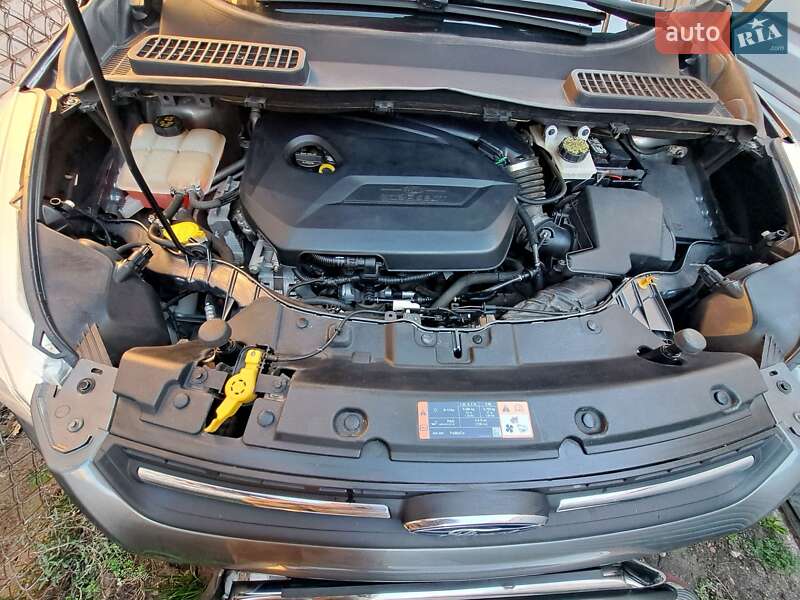 Внедорожник / Кроссовер Ford Escape 2014 в Запорожье