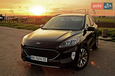 Внедорожник / Кроссовер Ford Escape 2020 в 