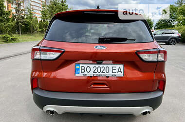 Внедорожник / Кроссовер Ford Escape 2019 в Тернополе