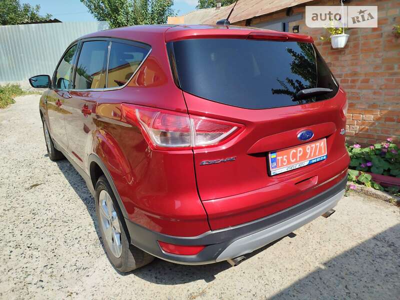 Внедорожник / Кроссовер Ford Escape 2013 в Полтаве фото 25 Внедорожник / Кроссовер Ford Escape 2013 в Полтаве