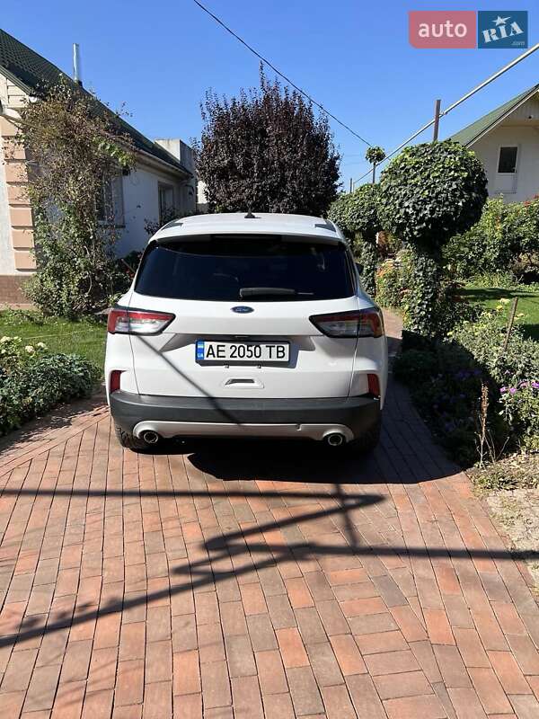 Внедорожник / Кроссовер Ford Escape 2020 в Долинской
