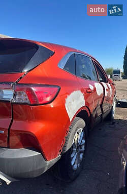 Внедорожник / Кроссовер Ford Escape 2019 в 
