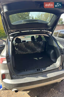 Позашляховик / Кросовер Ford Escape 2021 в Нововолинську