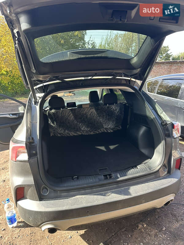 Позашляховик / Кросовер Ford Escape 2021 в Нововолинську