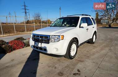 Позашляховик / Кросовер Ford Escape 2010 в Ставищі