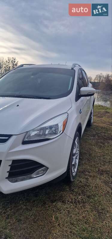 Внедорожник / Кроссовер Ford Escape 2014 в Рогатине