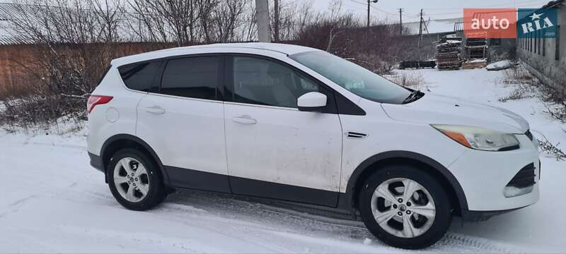 Позашляховик / Кросовер Ford Escape 2014 в Радехові