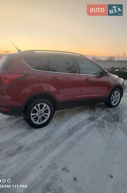 Позашляховик / Кросовер Ford Escape 2019 в Львові