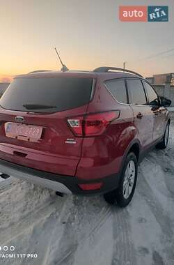 Позашляховик / Кросовер Ford Escape 2019 в Львові