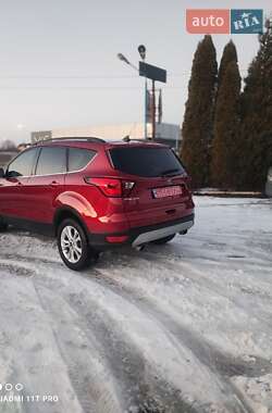 Позашляховик / Кросовер Ford Escape 2019 в Львові