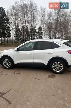 Внедорожник / Кроссовер Ford Escape 2021 в 