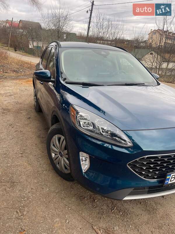 Внедорожник / Кроссовер Ford Escape 2019 в Хмельницком