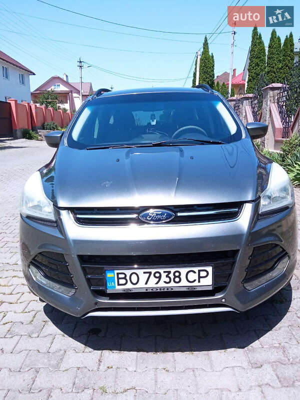 Позашляховик / Кросовер Ford Escape 2014 в Чернівцях