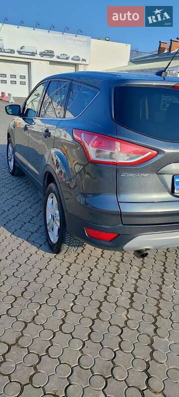 Позашляховик / Кросовер Ford Escape 2014 в Чернівцях